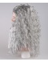 Santa Claus Grey Wig and Beard Set HX-020